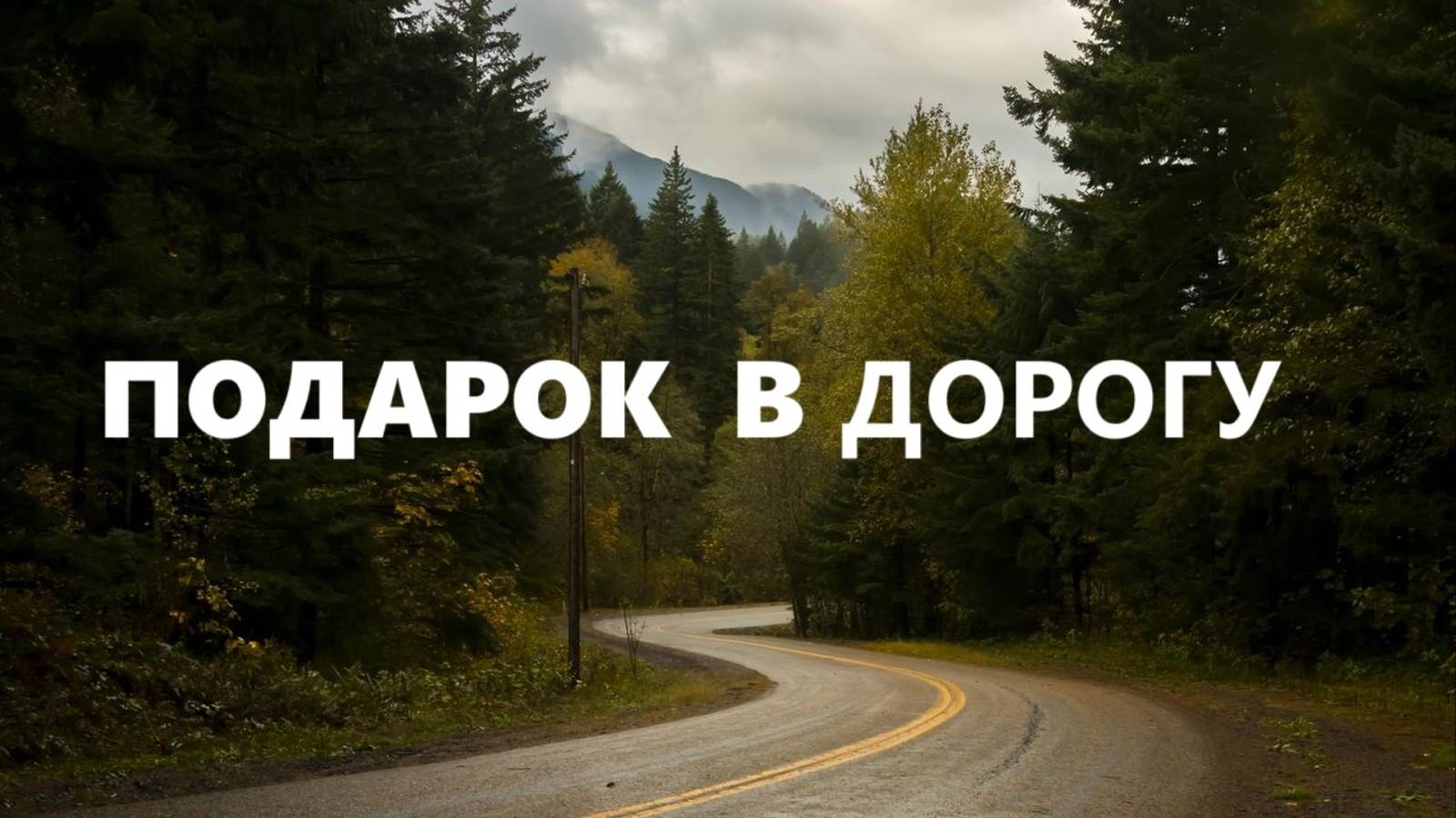 Дорожные подушки.Идея для подарка.(февраль 2025г)