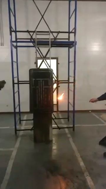STEG корд2