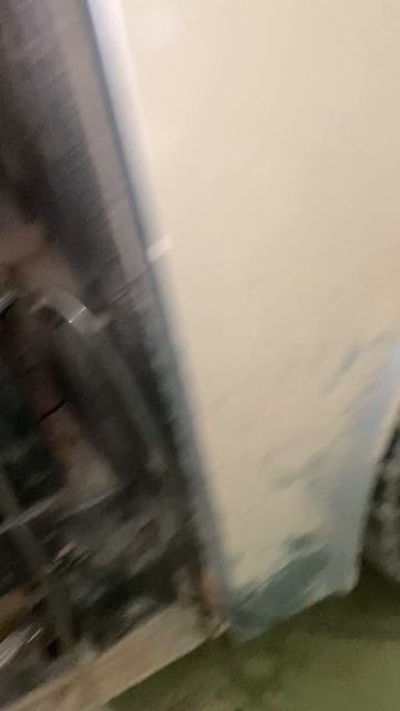 IMG_1518