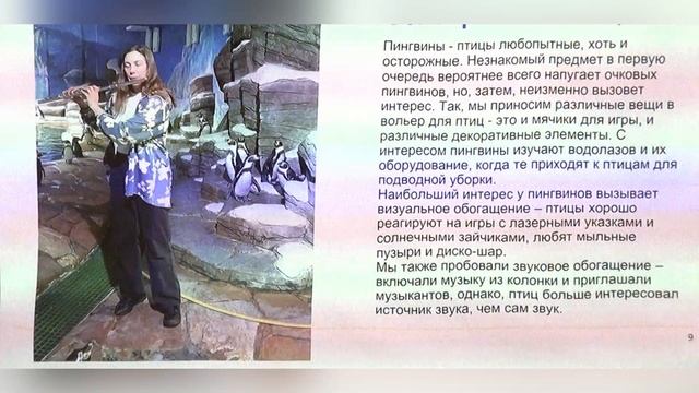 Опыт обогащения среды пингвинов Гумбольдта
Демина Ольга Денисовна
Филиал ННЦМБ ДВО РАН «Приморский