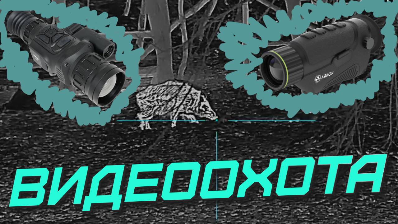 Видеоохота