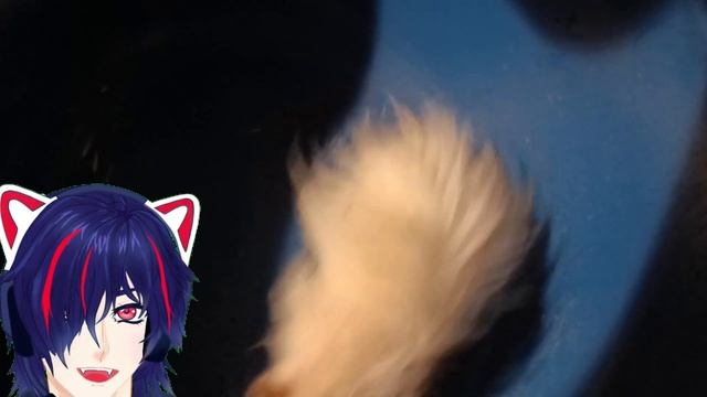 Причины не заводить хомяка Минусы хомяков