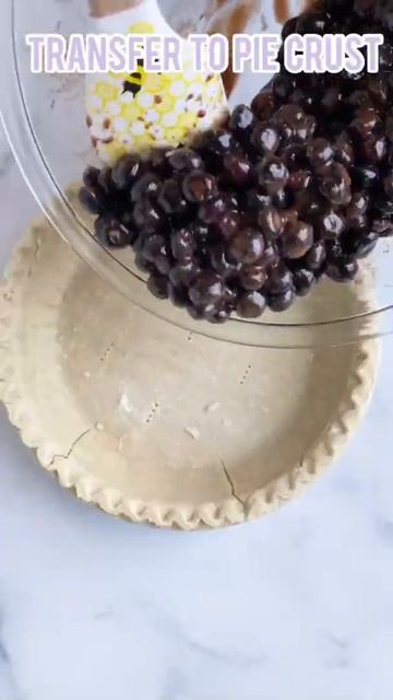 Vegan Blueberry Pie