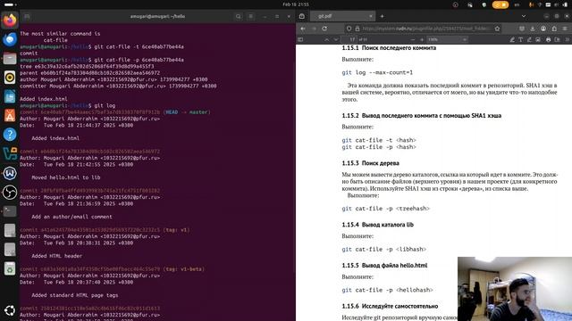 Математическое моделирование | Система контроля версий Git | Выполнение