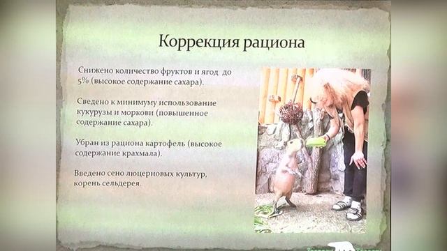 Особенности составления рациона капибары (Hydrochoerus hydrochaeris) в условиях Ленинградского зоопа