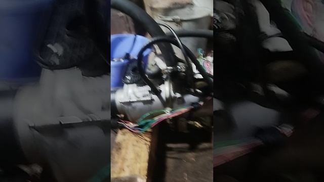 1000004202.mp4
