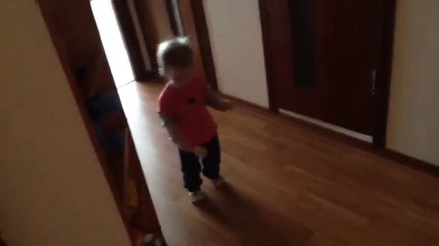 Маленький лебеденок