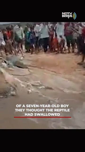 Angry Villagers Capture Crocodile To Try And Recover Boy’s Body
