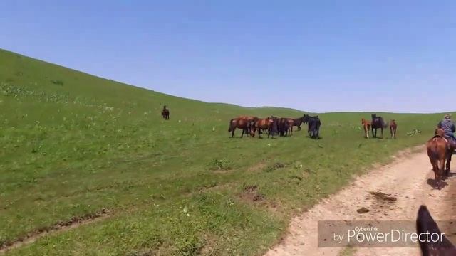 Поход на лошади.