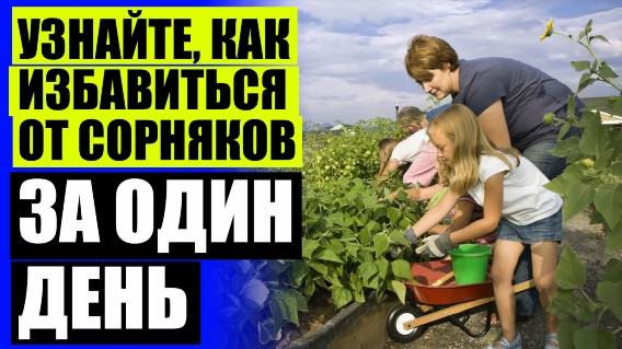 ❕ Жидкость чтоб не росла трава на кладбище ❌ Средства для удаления сорняков