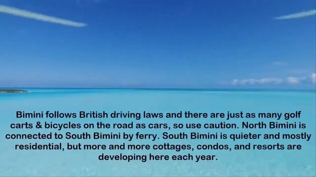 Bimini Scuba Diving - Trip Bahamas 2017