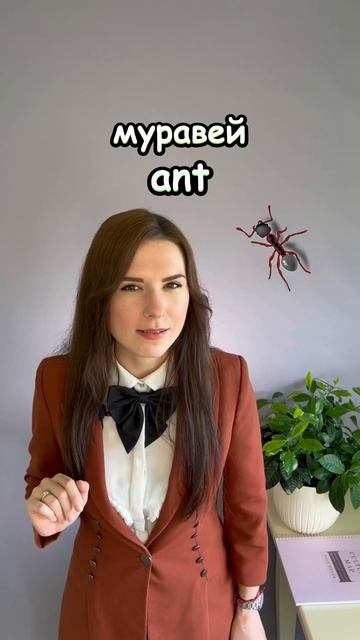 НАСЕКОМЫЕ #english #английский #учительанглийского #английскийонлайн #английскийсочи