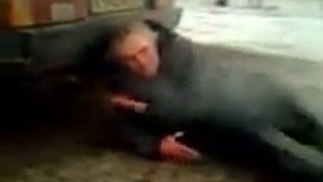 игорек дает 2014