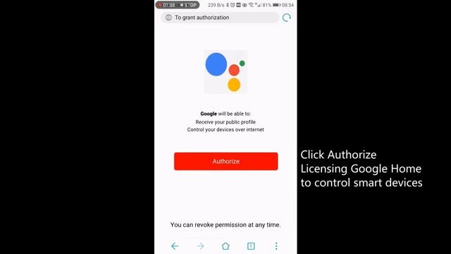 How to use Google Home control Smart Sockets by voice