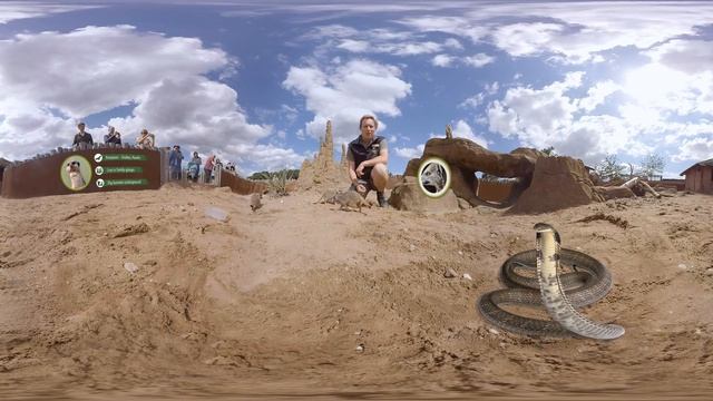 Meet the Meerkats 360° VR Tour