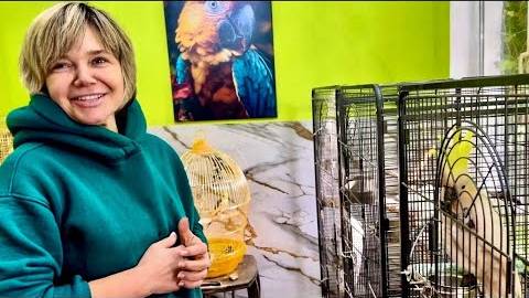 Олег и Оксана Зубковы пришли к нашим попугаям и сразу УСТРОИЛИ ДВИЖНЯК)))