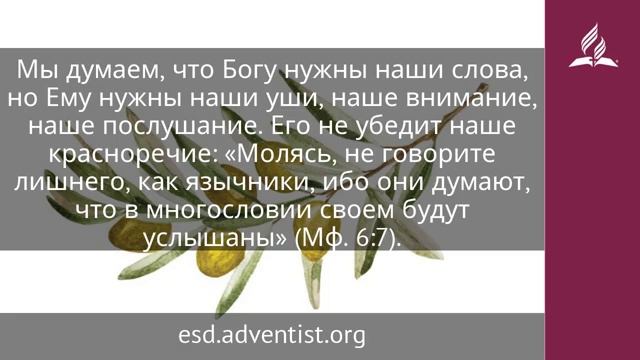 20 февраля 2025 Золотые яблоки. Под сенью благодати. Адвентисты