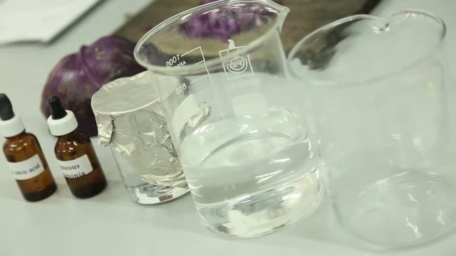 SMA Kimia - Membuat Indikator pH dengan Kubis Ungu (Part 1)