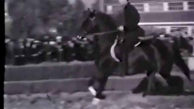 ВДНХ 1939 Жеребец Букет РВП