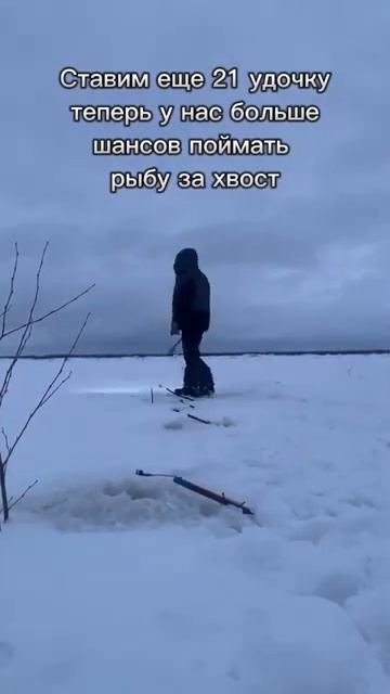 Как поймать крупную рыбу за хвост🐳🎣