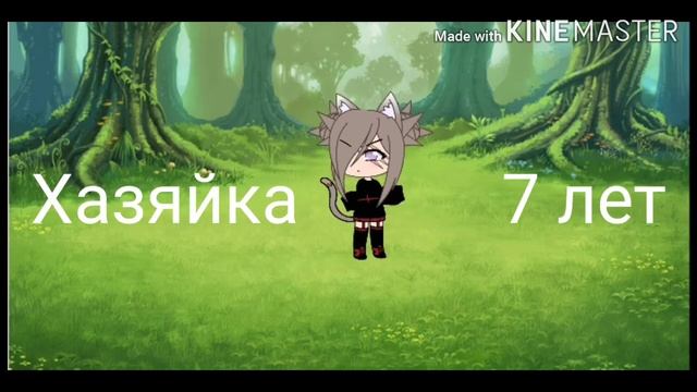 Как менялась ос маего канала от 1 года до 17 лет