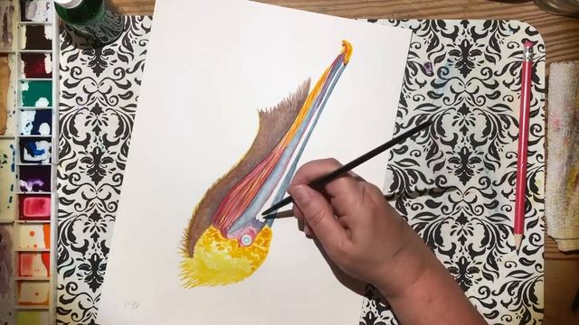 Beginner Watercolor Class Tutorial Speed Paint - Pelican