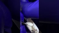 Кошка AVRORA от тмOGnails