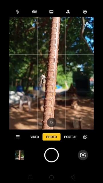 Viral Shorts in 16 sec,😱😱🔥 #Shorts# Robber fly Photo editing in Lightroom_Shorts youtubeshorts_2023
