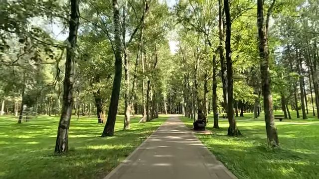 Твоя семья – бродяги со свалки! – заявил богач, выгоняя невесту сына… А спустя время, кусал локти