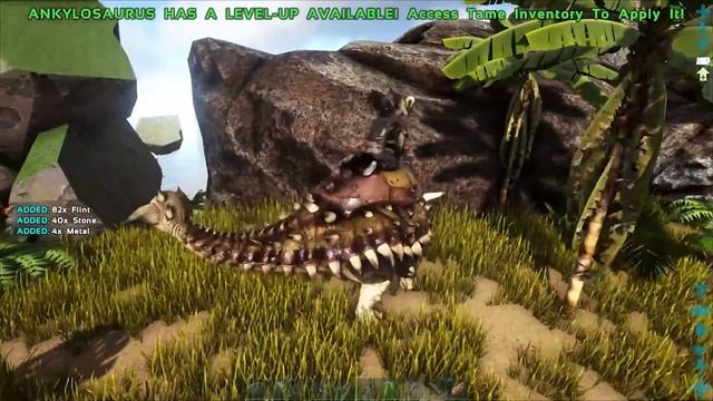 TOP 10 BEST DINOS FOR KIBBLE FARM- Ark: Survival Evolved