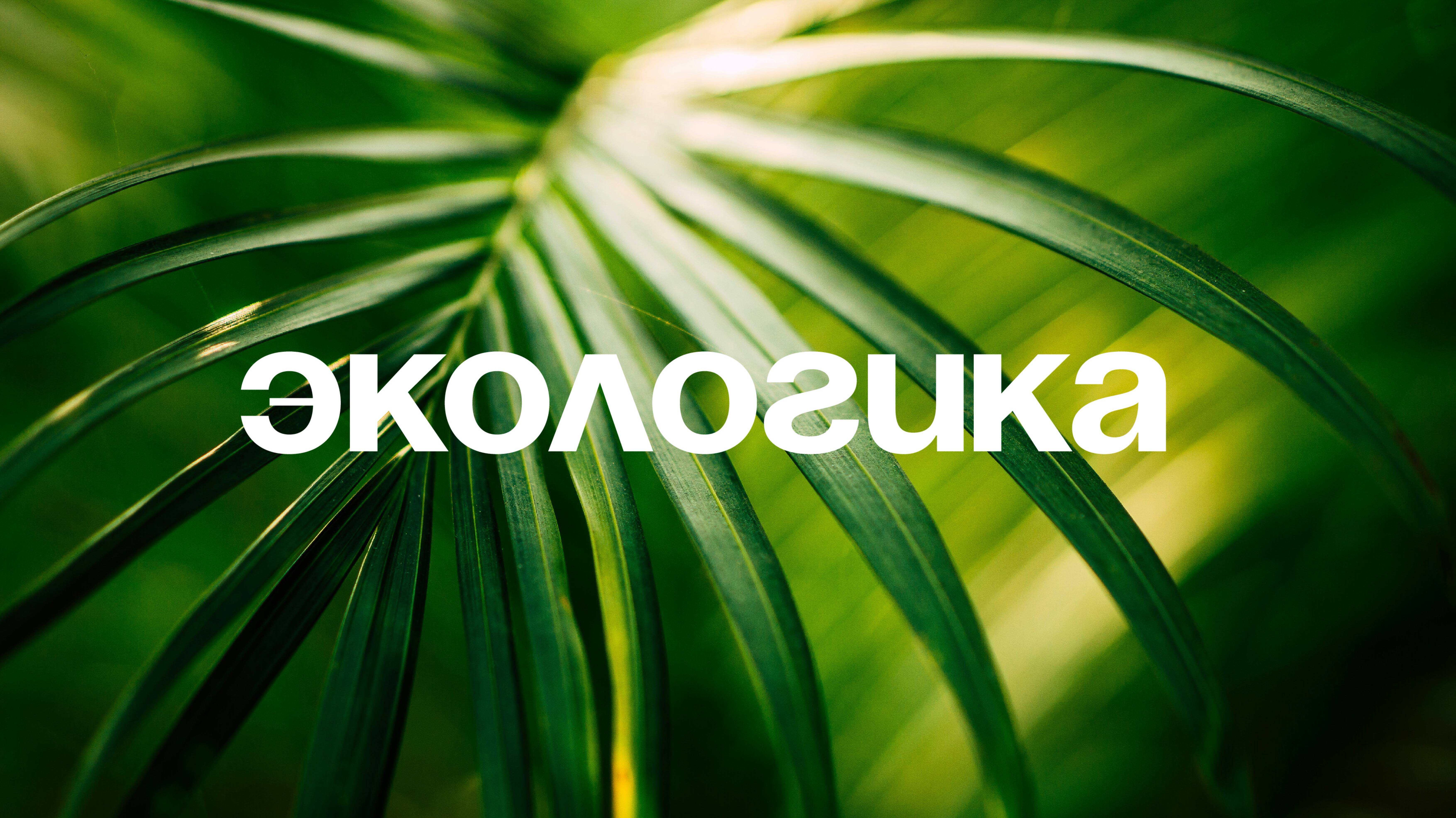 Что такое Экологика