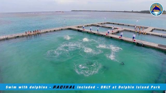 Dolphin Island Park Punta Cana HD1080