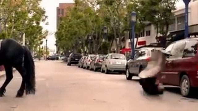 Не бей лошадей