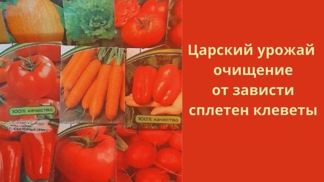 Царский урожай очищение от зависти сплетен клевету