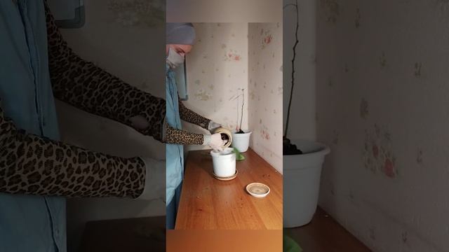 как вернуть здоровую самооценку