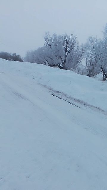 VID_20250219_084251.mp4 мороз