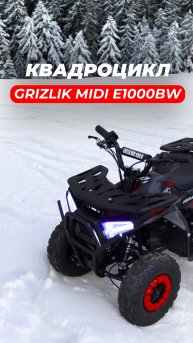 Если первый квадрик, то только MOTAX Grizlik Midi E1000 BW