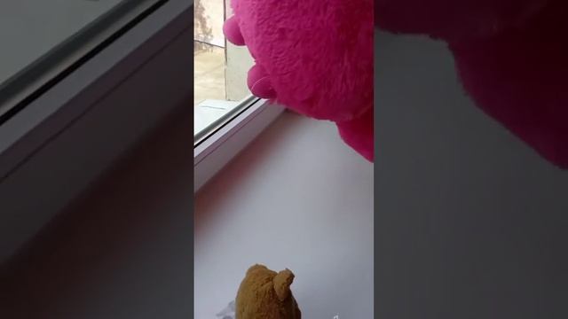 Супер Медведь и Злобокошка