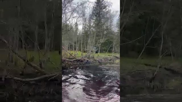 1000024857.mp4