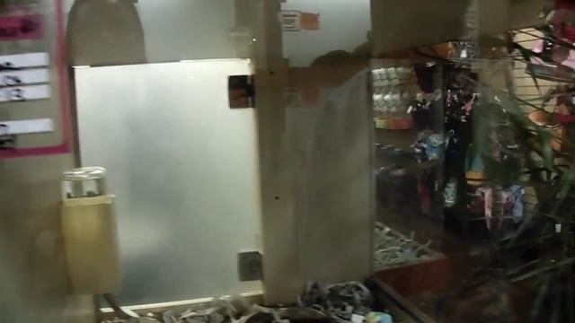 California Pet store Amazing dogs! Самые красивые собаки в мире!