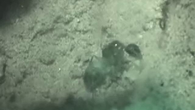 Queen And Her Daughter