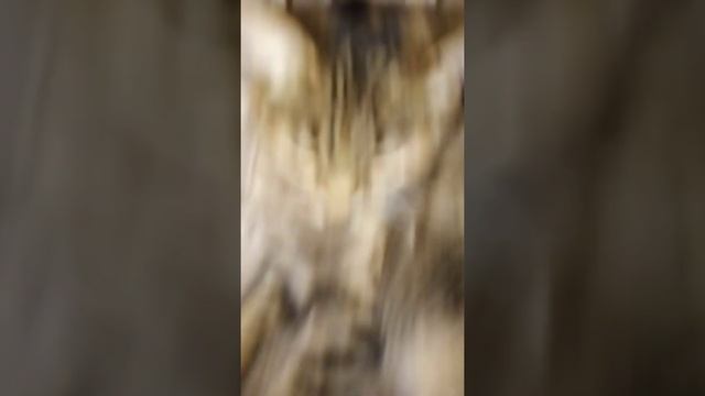 Рыжик **3**часть