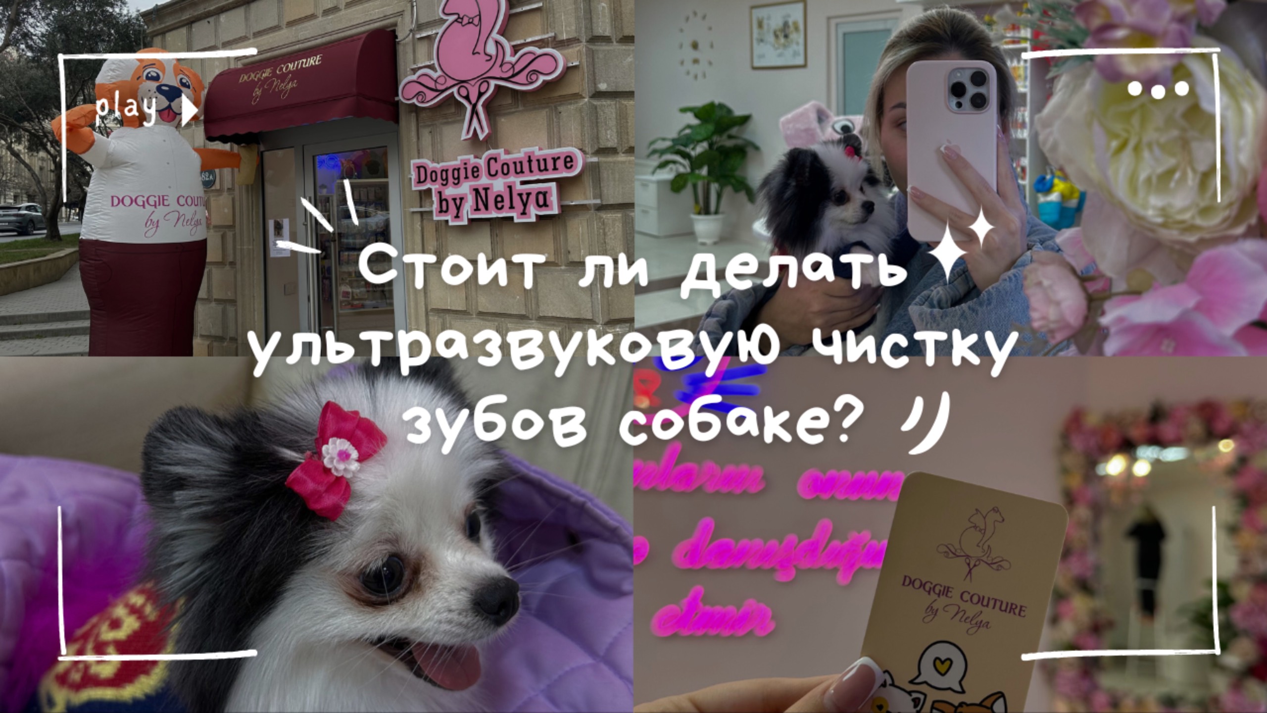 Без наркоза и стресса: ультразвуковая чистка зубов собаке | Наш опыт ✨🐶🦷
