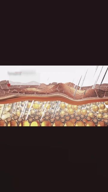 1000115702.mp4
