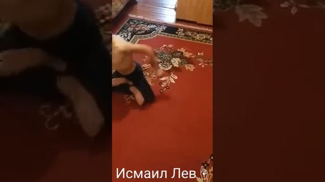 Гибкий Чеченец Мишиев Исмаил