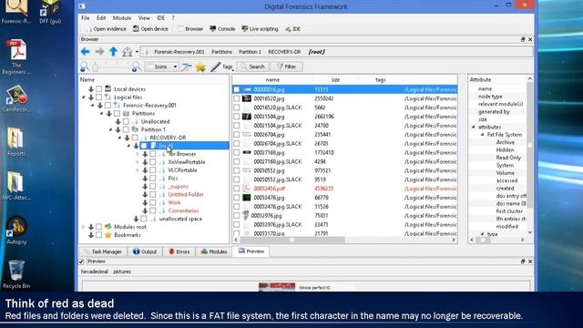 Digital Forensic Framework (DFF)