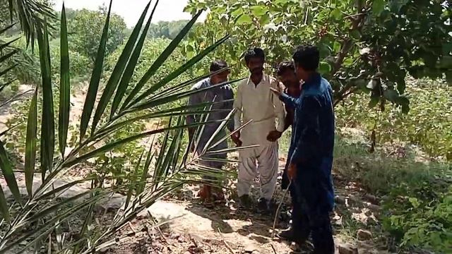 Chor or zamindar k darman chori pa lari ho ge Mr Adil Official