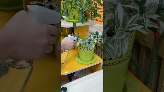 "Кто такой волонтер? "