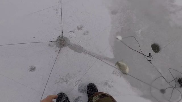 Очередной раз выбрались на рыбалку с хапугой, карась на жареху!