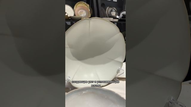 Новинка из Нидерландов